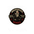 Unsupervised Menace Skull Sticker — Kiss-Cut Vinyl Decal (“Officially Unqualified, Professionally Chaotic”)